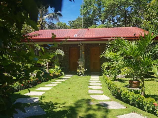 Mountain View Cottages مامباجاو المظهر الخارجي الصورة