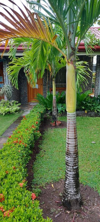 Mountain View Cottages مامباجاو المظهر الخارجي الصورة