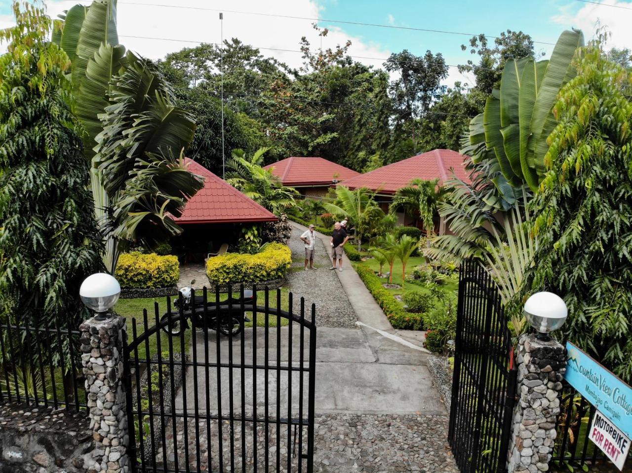 Mountain View Cottages مامباجاو المظهر الخارجي الصورة