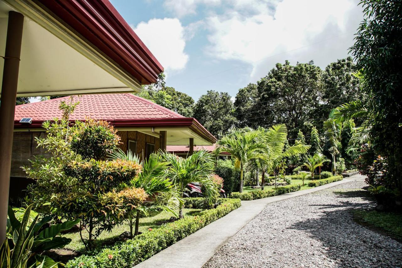 Mountain View Cottages مامباجاو المظهر الخارجي الصورة