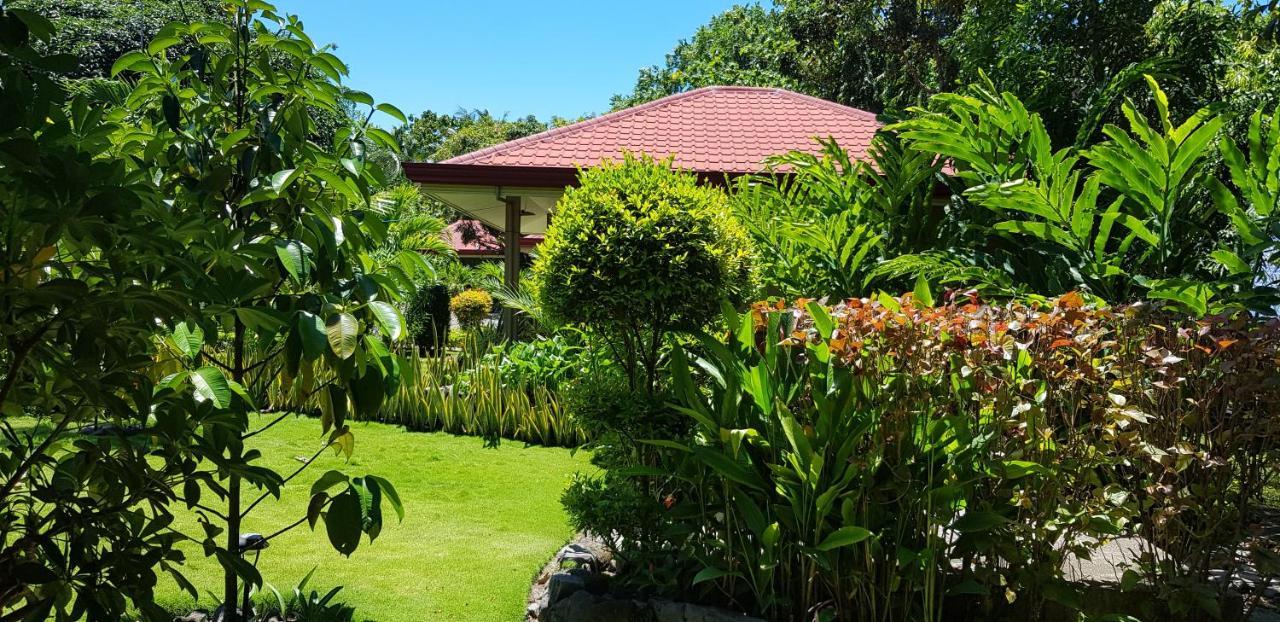 Mountain View Cottages مامباجاو المظهر الخارجي الصورة