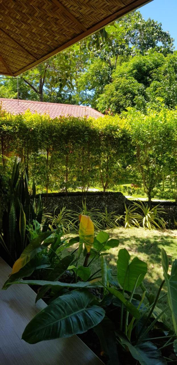 Mountain View Cottages مامباجاو المظهر الخارجي الصورة